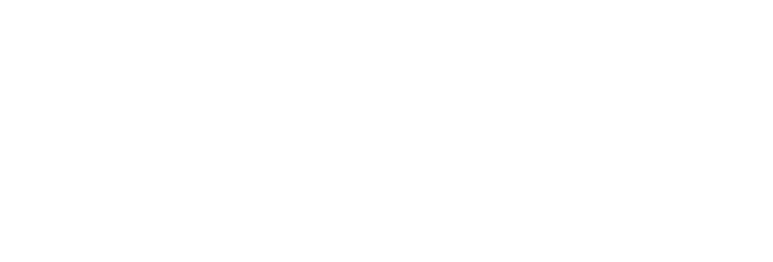Tiny Warriors Studio